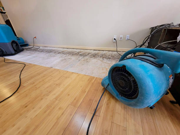 Professional Water Extraction technician working in Maybee, MI